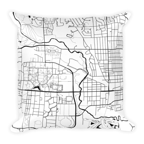 Ames Map Pillow – Modern Map Art For Cheap