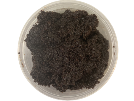 poppy seed paste  50 lbs Discount