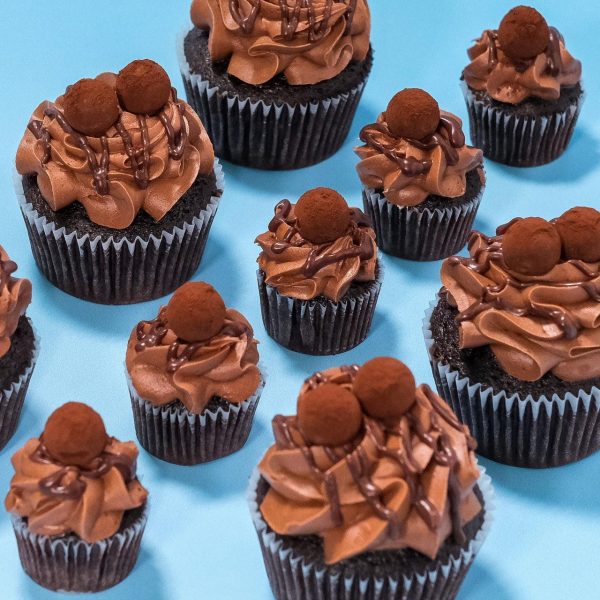 Chocolate Cupcakes Discount