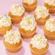 Vegan Vanilla Cupcakes Hot on Sale