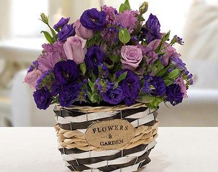 Astoma N Rose Flower Basket - FWR Sale