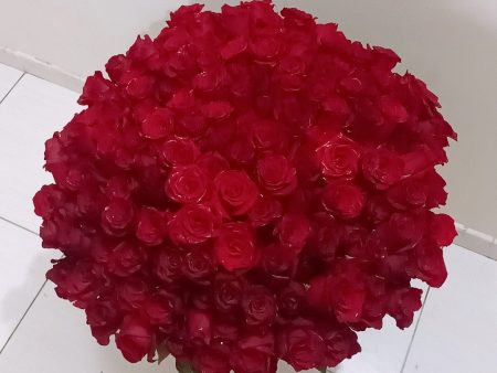 150 Roses 70 CM in Vase Arrangement Cheap