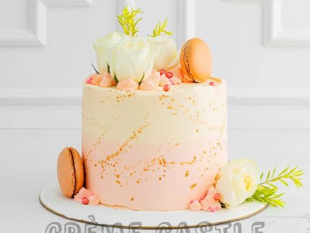 Macaron Splash Cake Cheap