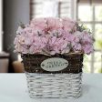 Stupendous Flower Basket Arrangement - FWR Hot on Sale