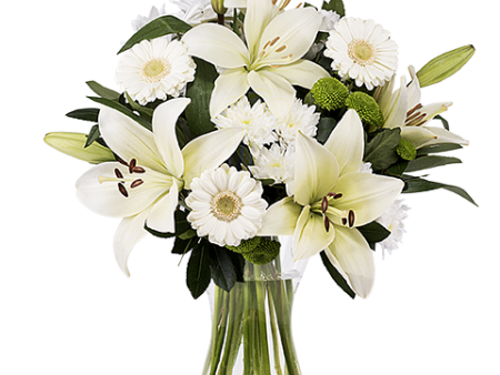 Familial Love with White Lilies and Gerberas Online Sale