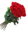 Beautiful Red Roses  - VD Discount