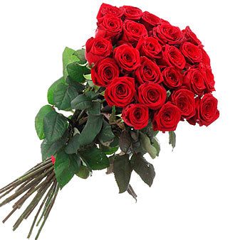 Beautiful Red Roses  - VD Discount