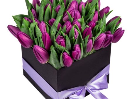 30 Purple Tulips in Squire box Online