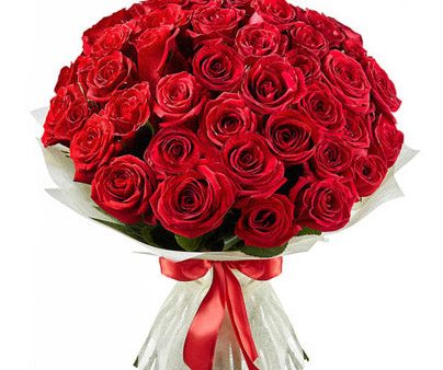 Red Roses - VD Discount