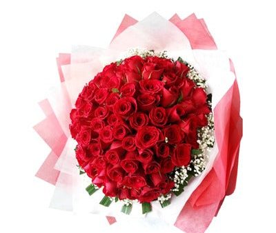 100 Premium  Red Roses For Discount