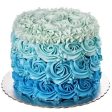 Blue Rose Model Cake on Sale