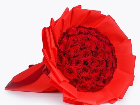 50 Red roses Hot on Sale