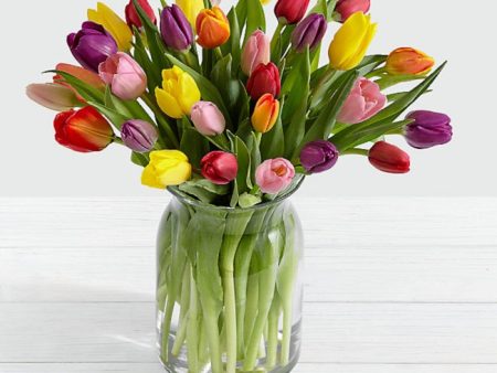 30 Multi-Colored Tulips  - VD Online Hot Sale