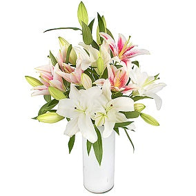 White & Pink Lilies For Discount